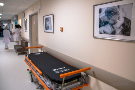 Наши работы