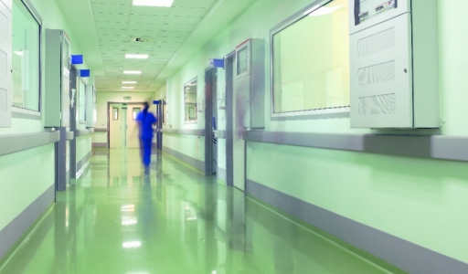 Виниловые пластины для защиты стен